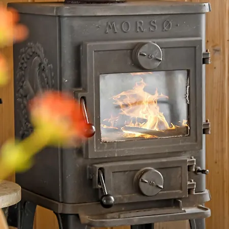 Hébergement de vacances Vejlby Klit, Spa, Sauna, Pets Sj307 *